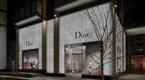 dior store dc